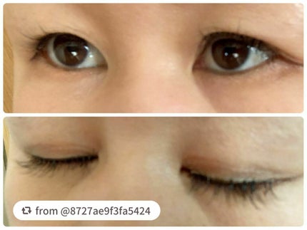 デコラティブアイラッシュ/Decorative Eyes/その他を使ったクチコミ(3枚目)