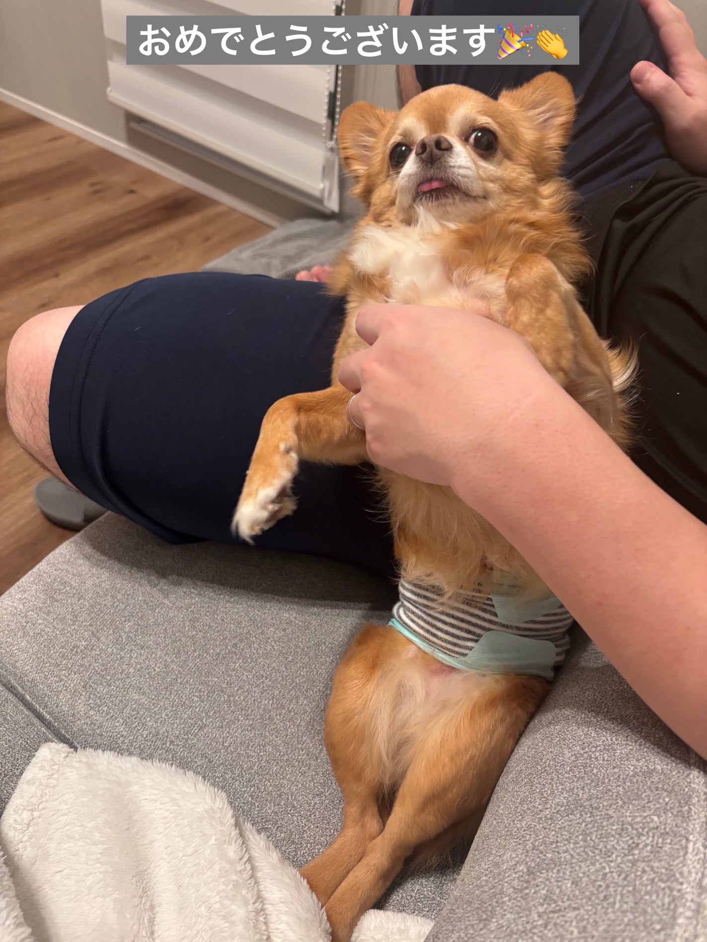 ネイルスタイラー/CLIO/マニキュアを使ったクチコミ(9枚目)