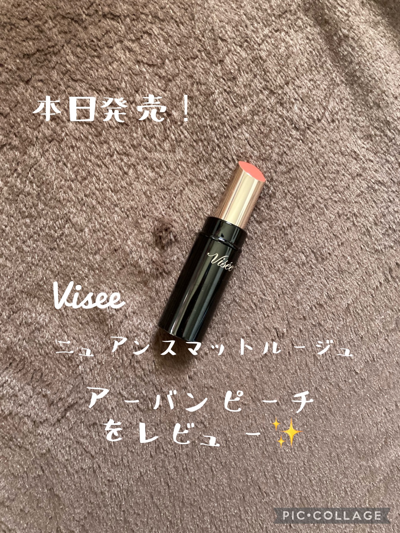 ニュアンス マット ルージュ/Visée/口紅を使ったクチコミ（1枚目）