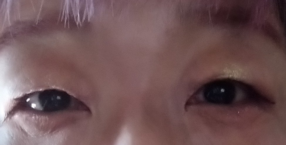 レトロマグネティック アイシャドウパレット/FlowerKnows/アイシャドウパレットを使ったクチコミ（2枚目）