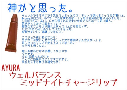 ウェルバランス ミッドナイトチャージリップ/AYURA/リップ美容液を使ったクチコミ(4枚目)