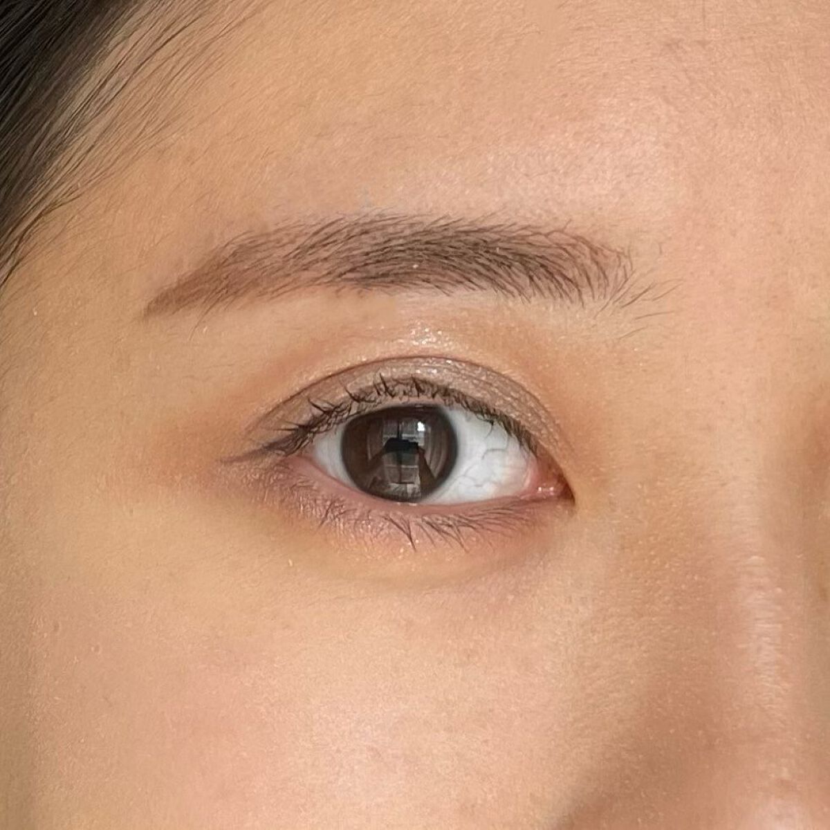 【旧】サンク クルール クチュール/Dior/アイシャドウパレットを使ったクチコミ(5枚目)