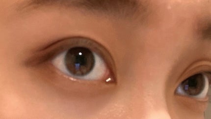 パーフェクトマルチアイズ/キャンメイク/アイシャドウパレットを使ったクチコミ(5枚目)