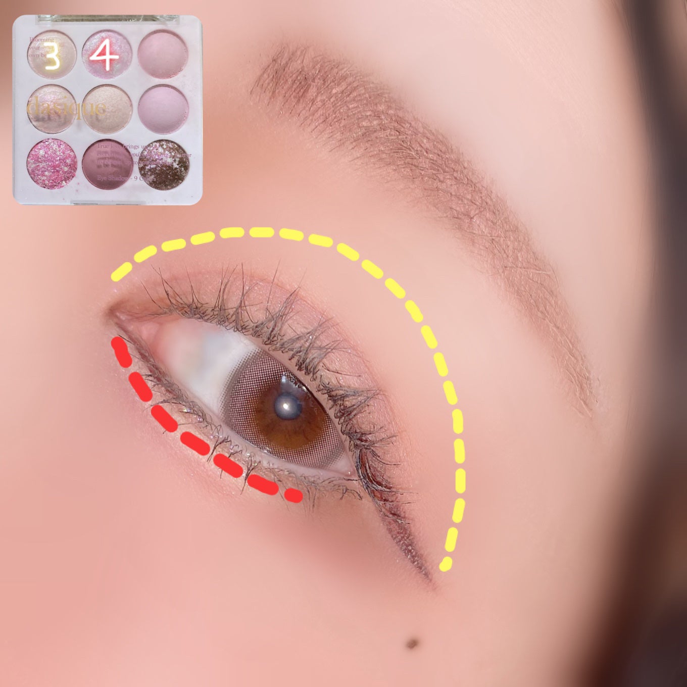 クイックラッシュカーラー/キャンメイク/マスカラ下地を使ったクチコミ(6枚目)