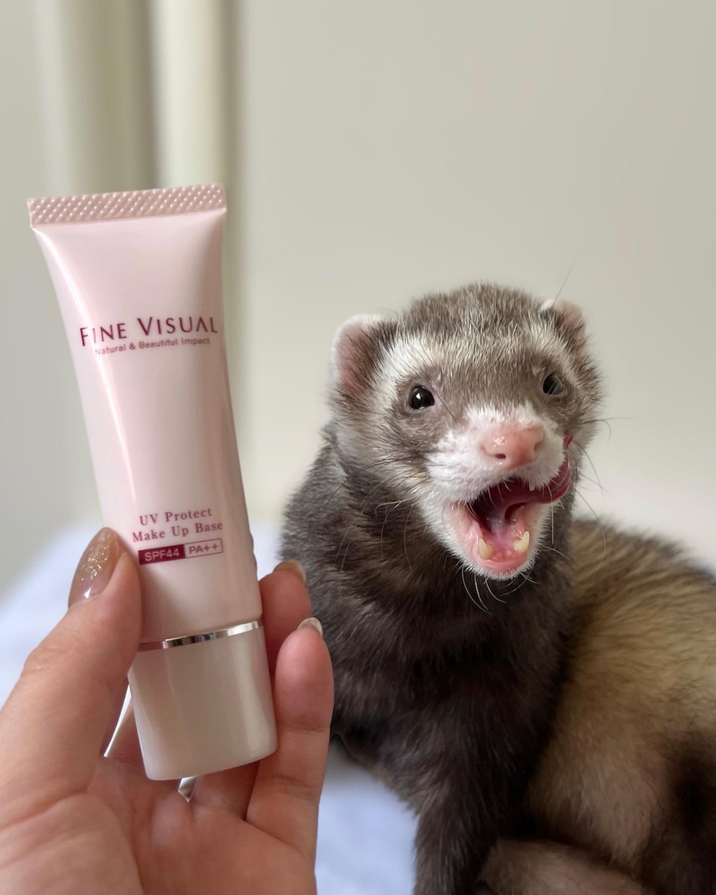 UVプロテクト メイクアップベース/FINE VISUAL/化粧下地を使ったクチコミ(3枚目)