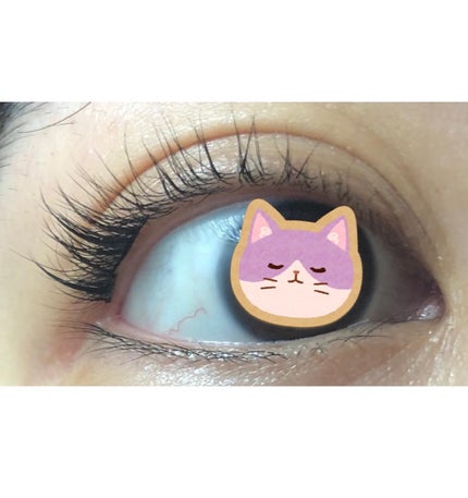 オーリオ初回キット Spiky/ollio/メイクアップキットを使ったクチコミ(7枚目)