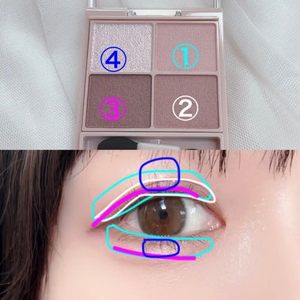 マルチフェイスカラーパレット/ドド/マルチパレットを使ったクチコミ(5枚目)