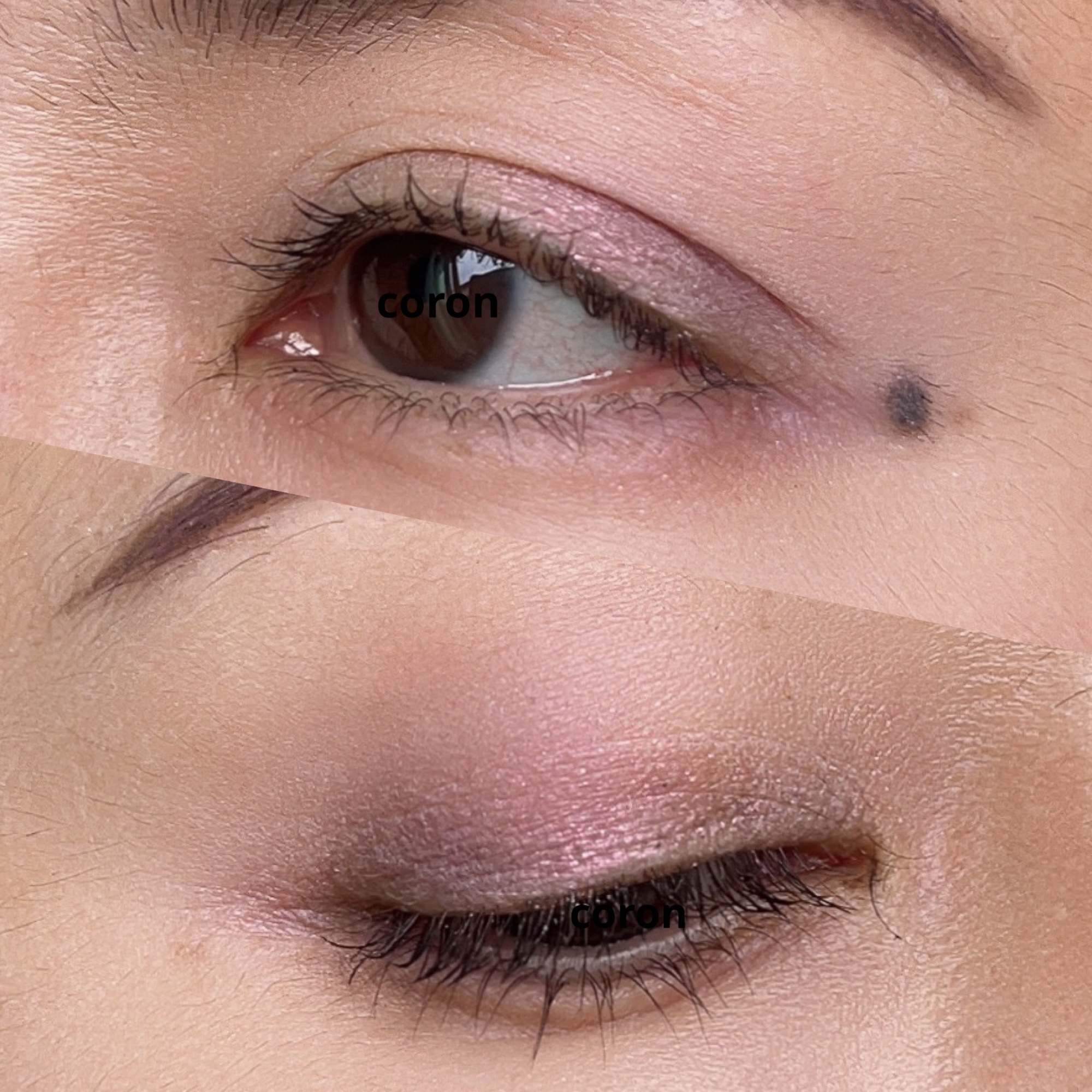 「塗るつけまつげ」ロングタイプ/デジャヴュ/マスカラを使ったクチコミ（2枚目）