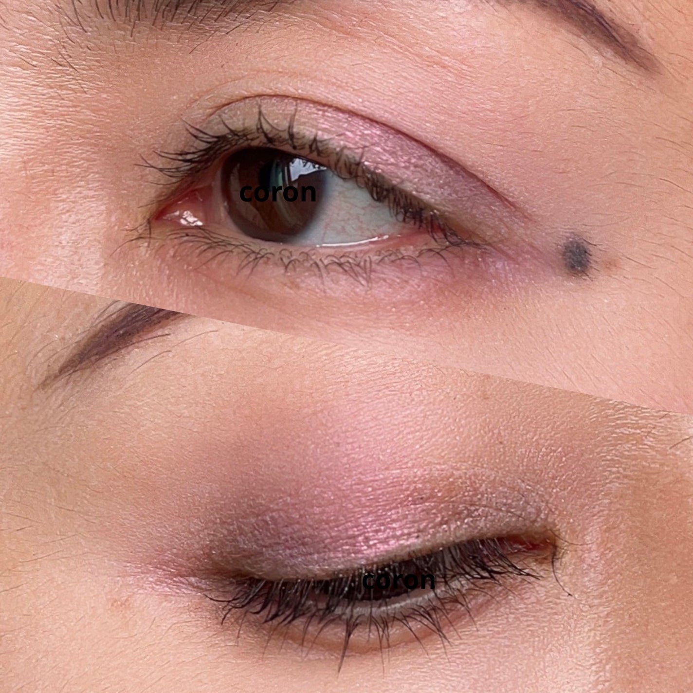 「塗るつけまつげ」ロングタイプ/デジャヴュ/マスカラを使ったクチコミ(2枚目)