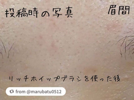 リッチホイップブラシSHINKA(シンカ)/SHOBIDO/その他スキンケアグッズを使ったクチコミ(8枚目)