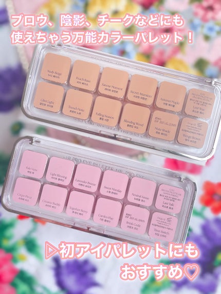 プロ アイ パレット エアー/CLIO/アイシャドウパレットを使ったクチコミ(10枚目)