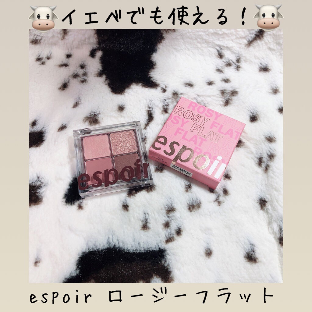 リアルアイハンディパレット/espoir/アイシャドウパレットを使ったクチコミ(1枚目)