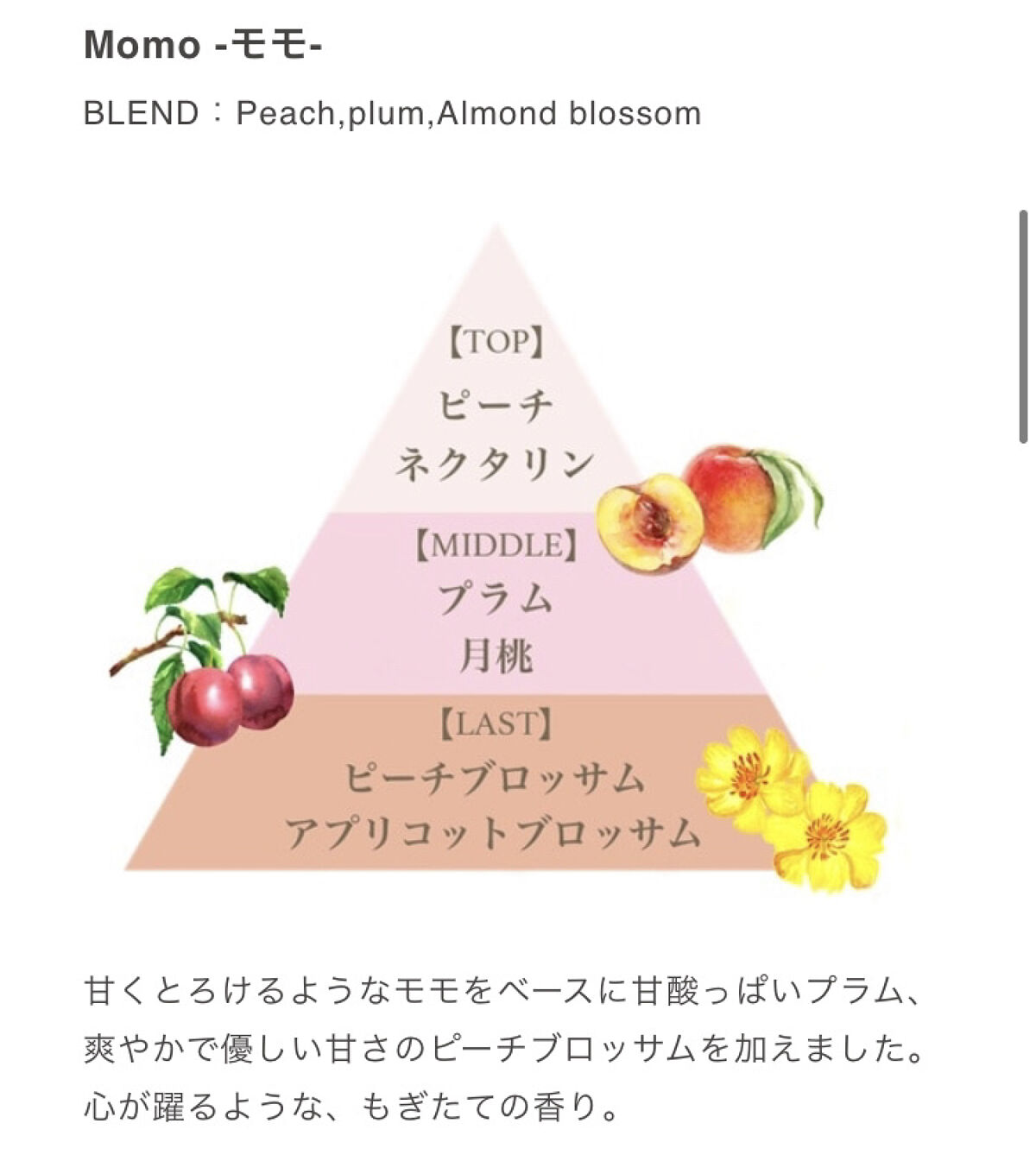 フレグランスハンド＆ボディホイップクリーム グランデ(モモ)/フェルナンダ/ボディクリームを使ったクチコミ（2枚目）