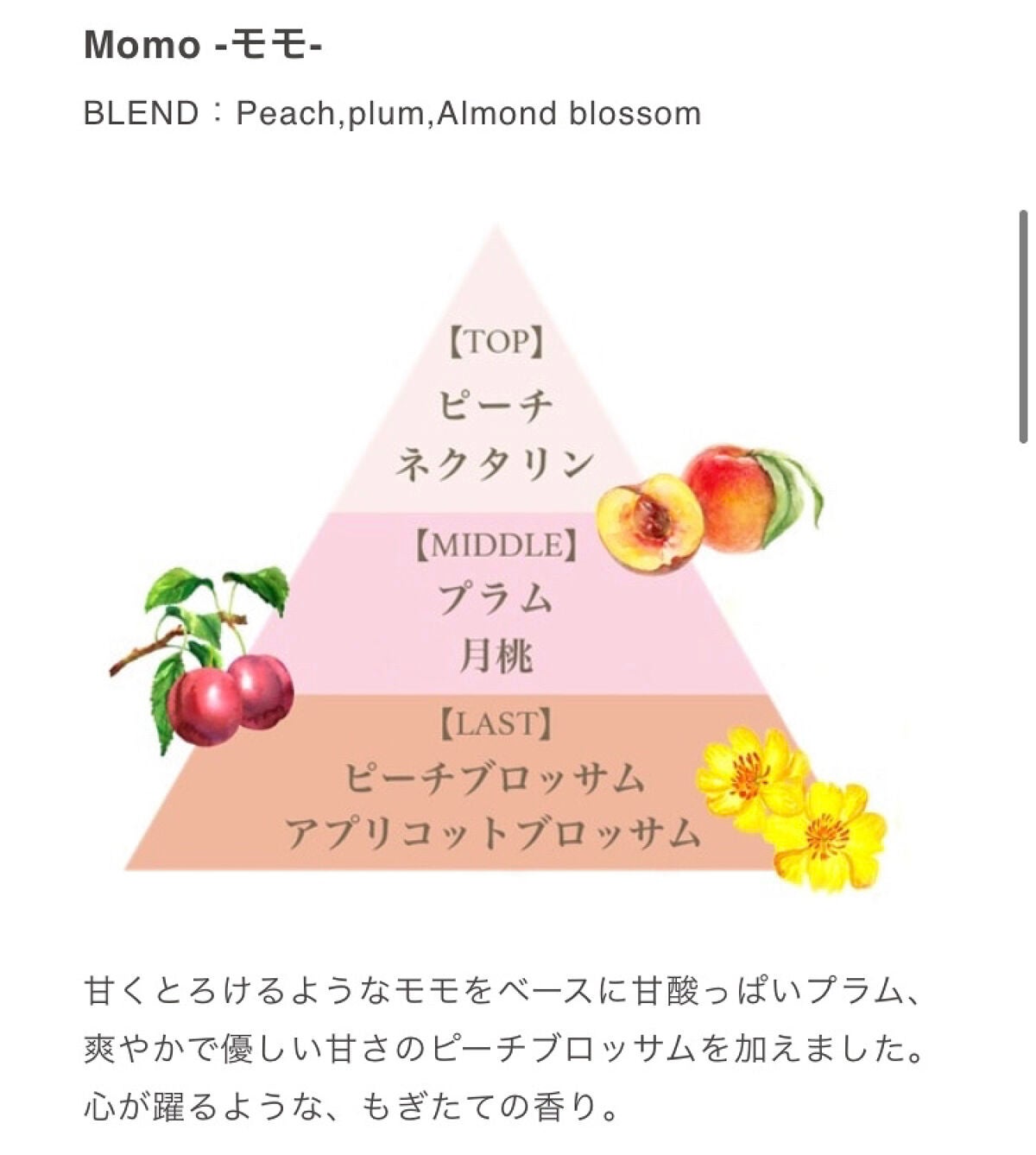 フレグランスハンド&ボディホイップクリーム グランデ(モモ)/フェルナンダ/ボディクリームを使ったクチコミ(2枚目)