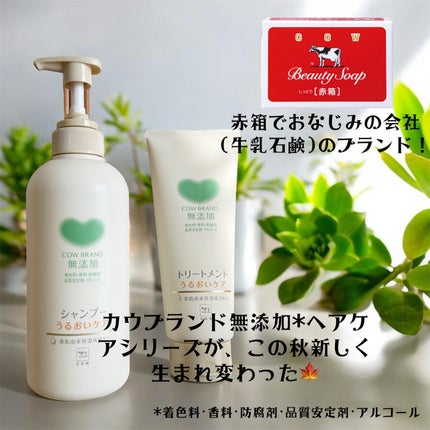 シャンプー/トリートメント <うるおいケア>/カウブランド無添加/市販シャンプーを使ったクチコミ(2枚目)