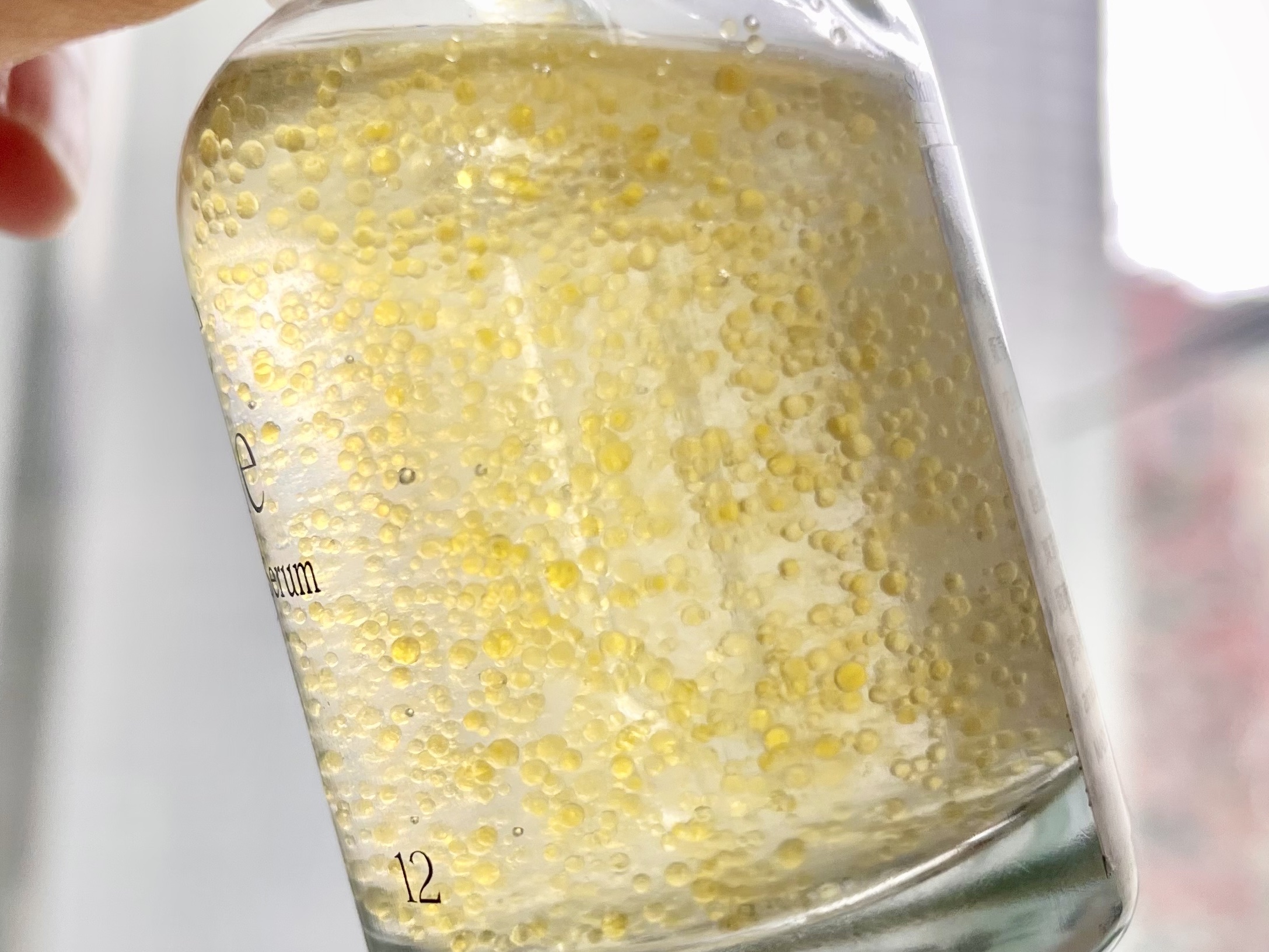 ベベバイオームアンチエイジングセラム/NATURAL DERMA PROJECT/美容液を使ったクチコミ（3枚目）