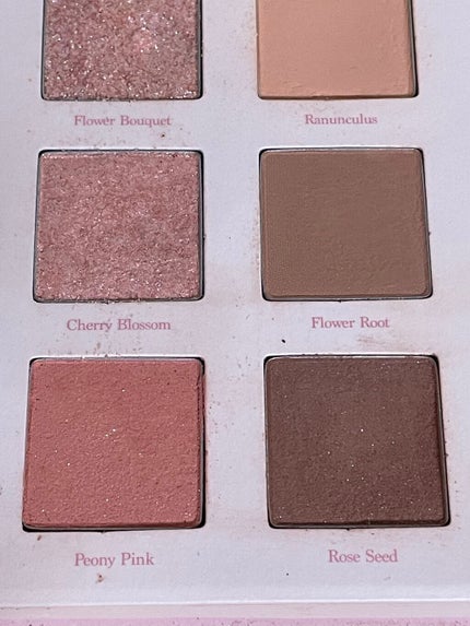 シャドウパレット/dasique/アイシャドウパレットを使ったクチコミ(3枚目)