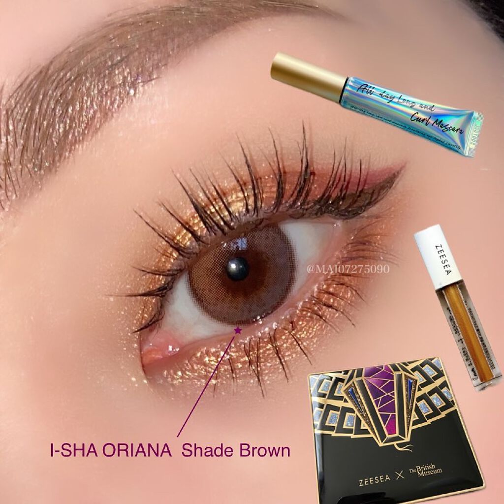 大英博物館 エジプトシリーズ アイシャドウパレット/ZEESEA/アイシャドウパレットを使ったクチコミ（1枚目）