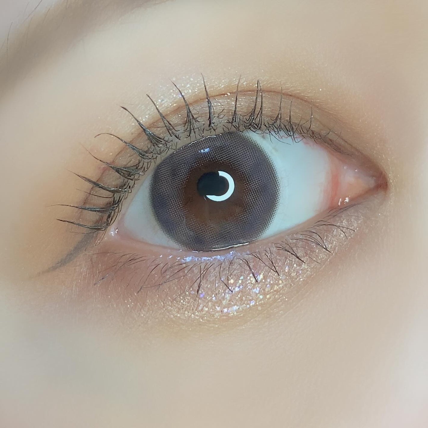 pui @カラコンオタク on LIPS 「˗ˏˋハパクリスティン新作🩰TweedKristinˎˊ˗𓂃𓂃..」(4枚目)