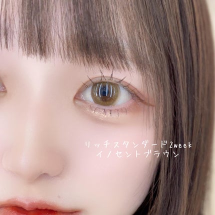 リッチスタンダード2WEEKシリーズ イノセントブラウン/RICH STANDARD/2週間(2WEEKS)カラコンの画像