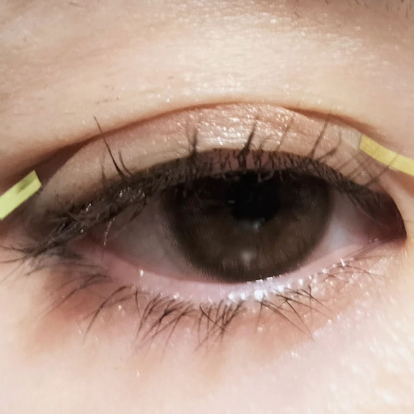 マイクロファイバー /ビー・エヌ/二重まぶた用アイテムを使ったクチコミ(7枚目)