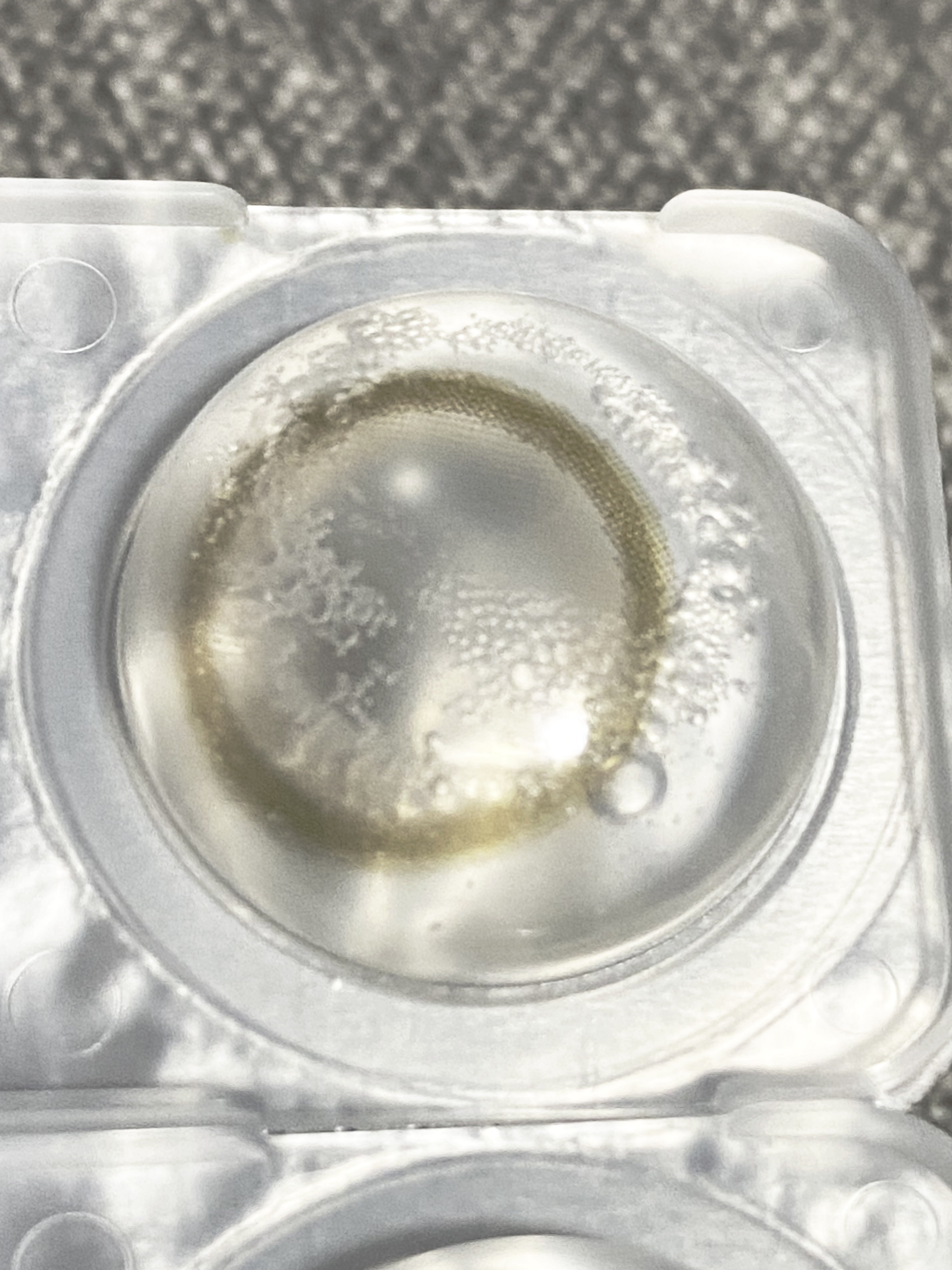 feliamo 1day エアリーベージュ/feliamo/ワンデー（１DAY）カラコンを使ったクチコミ（3枚目）