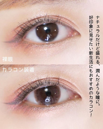 エバーカラーワンデー ナチュラル ナチュラルモカ/エバーカラー/ワンデー(1DAY)カラコンを使ったクチコミ(2枚目)