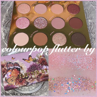 FLUTTER BY/ColourPop/アイシャドウパレットを使ったクチコミ（1枚目）