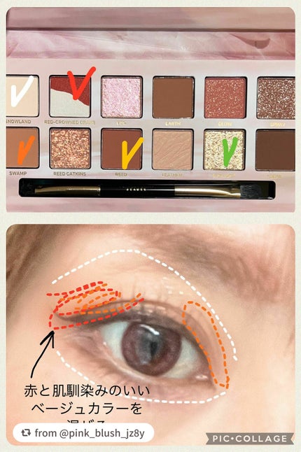 エクスプローラ12色 動物アイシャドウパレット/PERFECT DIARY/アイシャドウパレットを使ったクチコミ(4枚目)