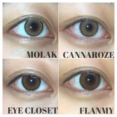 eye closet iDOL Series CANNA ROSE 1day/EYE CLOSET/ワンデー（１DAY）カラコンを使ったクチコミ（3枚目）