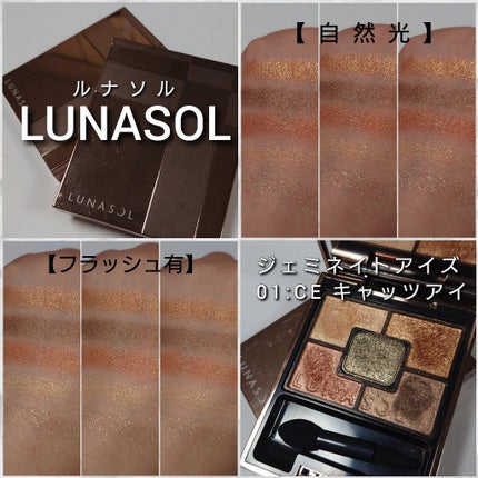 ジェミネイトアイズ N/LUNASOL/アイシャドウパレットを使ったクチコミ(5枚目)