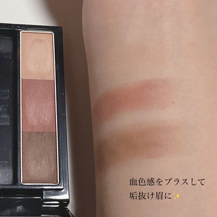 ヴィセ リシェ アイブロウパウダー/Visée/パウダーアイブロウを使ったクチコミ(3枚目)