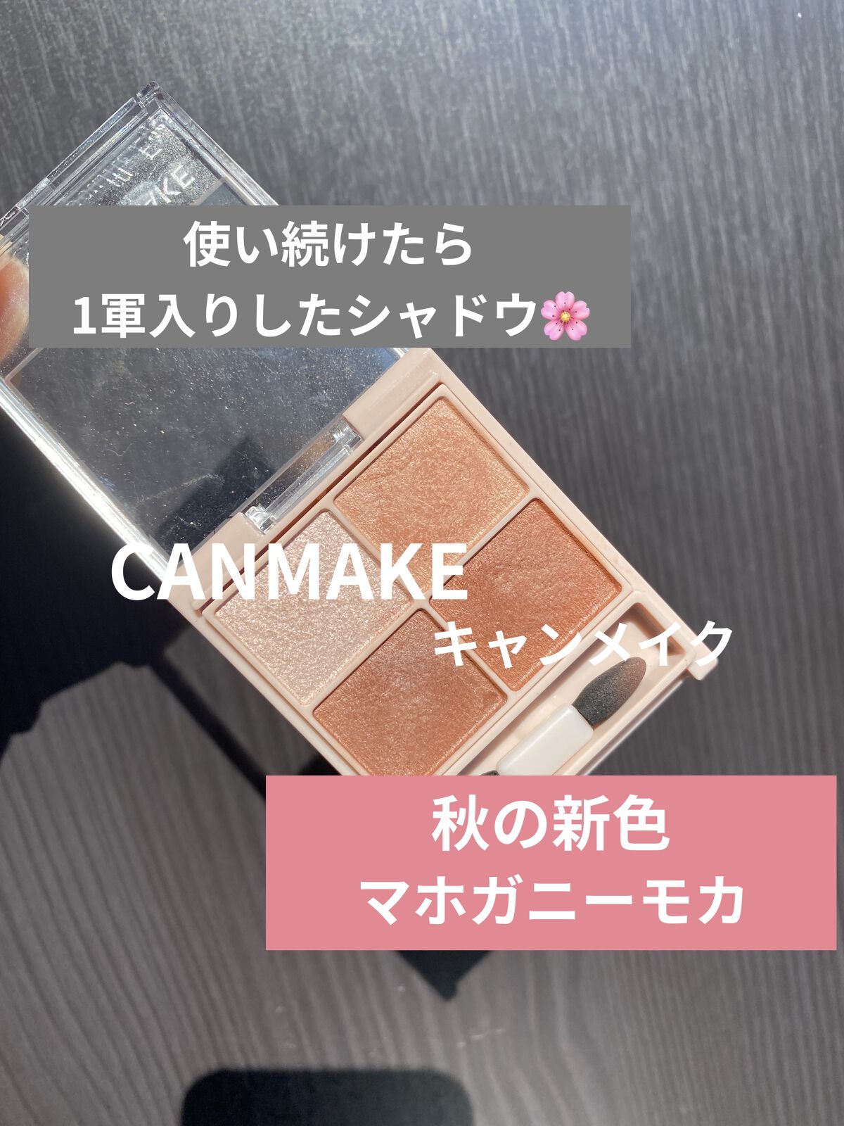 シルキースフレアイズ（マットタイプ）/キャンメイク/アイシャドウパレットを使ったクチコミ（1枚目）