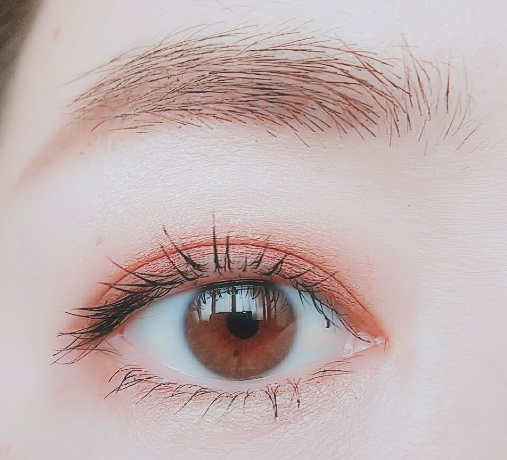 トーンアップアイシャドウ/CEZANNE/アイシャドウパレットを使ったクチコミ（1枚目）