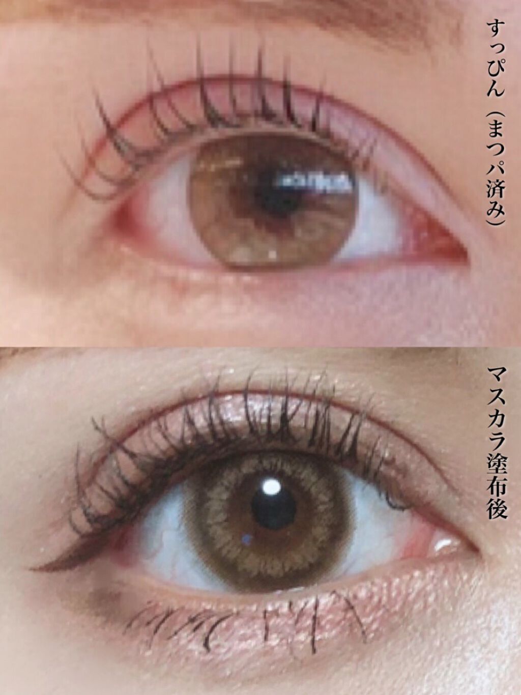 ベター ザン セックス マスカラ ドール ラッシュ/Too Faced/マスカラを使ったクチコミ（3枚目）