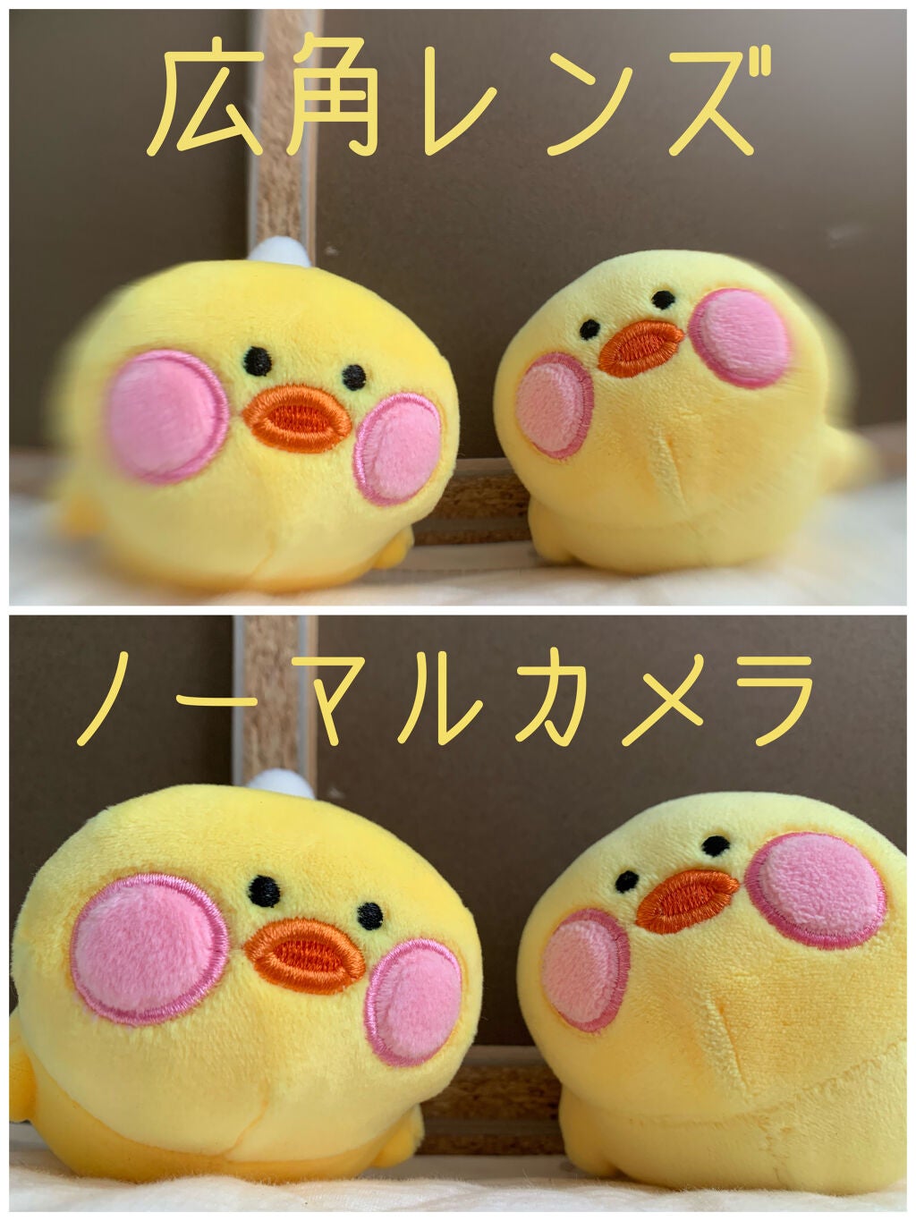 きゃろ on LIPS 「カメラレンズ紹介みなさんはじめまして!きゃろといいます🥕LIP..」(9枚目)