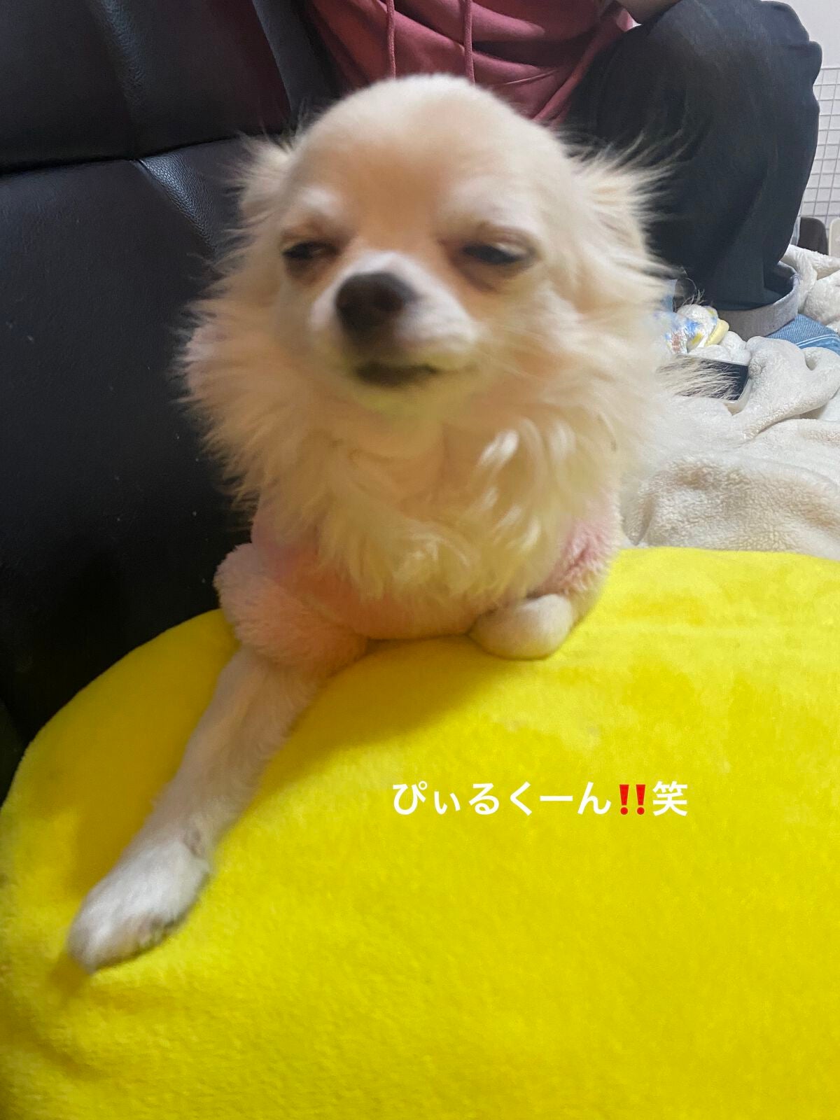 ポテトチップスバスボール/エスケイジャパン/入浴剤を使ったクチコミ(9枚目)