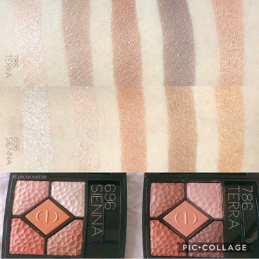 Dior WILD EARTH 696 SIENNA