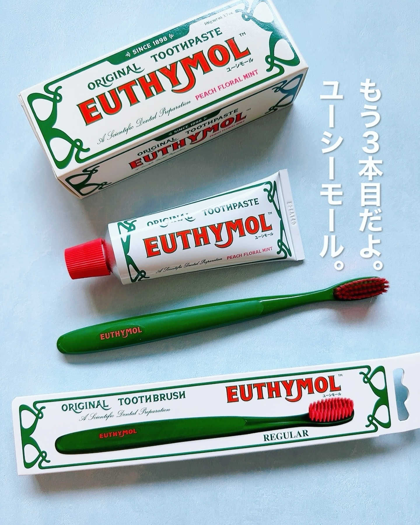 レギュラー歯ブラシ/EUTHYMOL/歯ブラシを使ったクチコミ（1枚目）