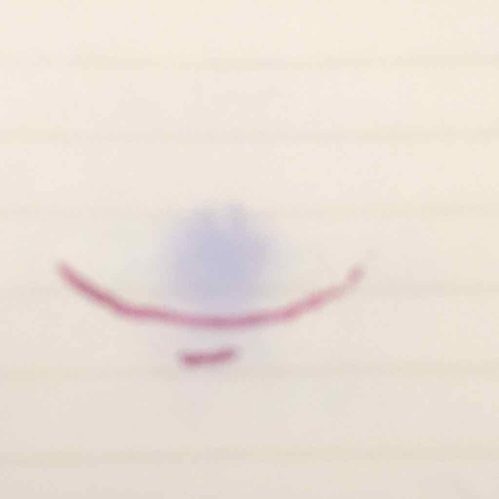 ラスティングマルチアイベース WP/キャンメイク/アイシャドウベースを使ったクチコミ(3枚目)