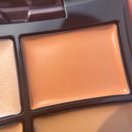 トーンパーフェクティング パレット/DECORTÉ/パレットコンシーラーを使ったクチコミ(3枚目)