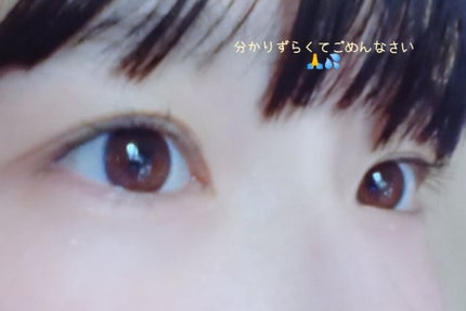 MAアイラッシュセラム/MATSUGE OMOI/まつげ美容液を使ったクチコミ(4枚目)