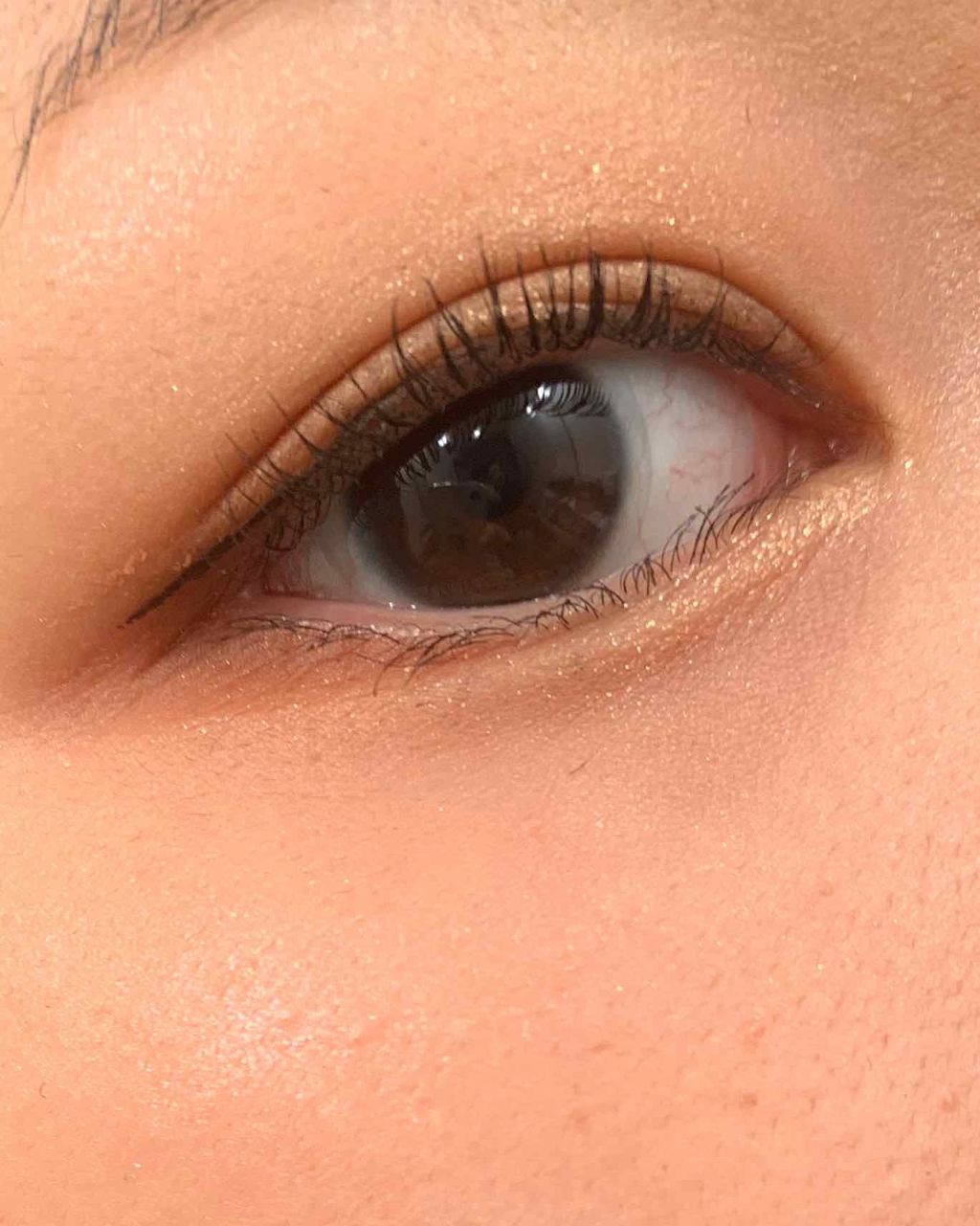 ラッシュエキスパンダー ロングロングロング/MAJOLICA MAJORCA/マスカラを使ったクチコミ（1枚目）