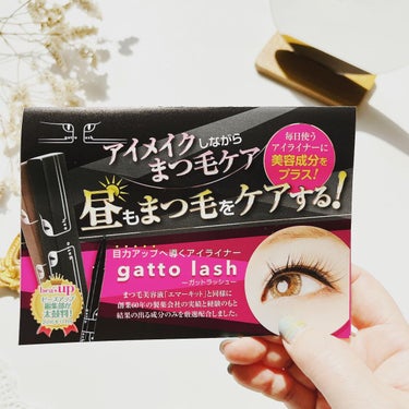 gatto lash　ガットラッシュ カラー/水橋保寿堂製薬/リキッドアイライナーの画像