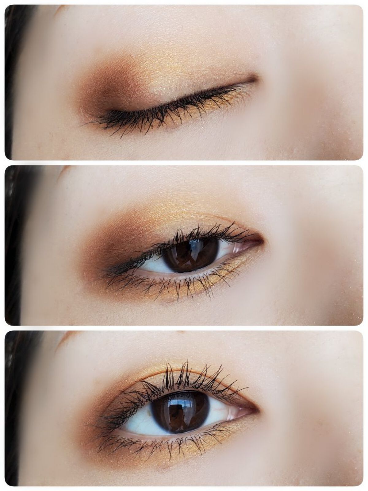 グラデーション アイシャドウ/ちふれ/アイシャドウパレットを使ったクチコミ（1枚目）