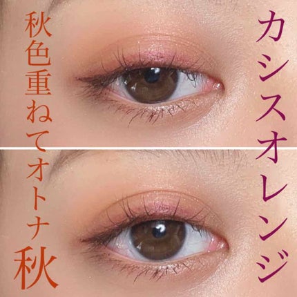 アイカラーレーション/LUNASOL/アイシャドウパレットを使ったクチコミ(1枚目)