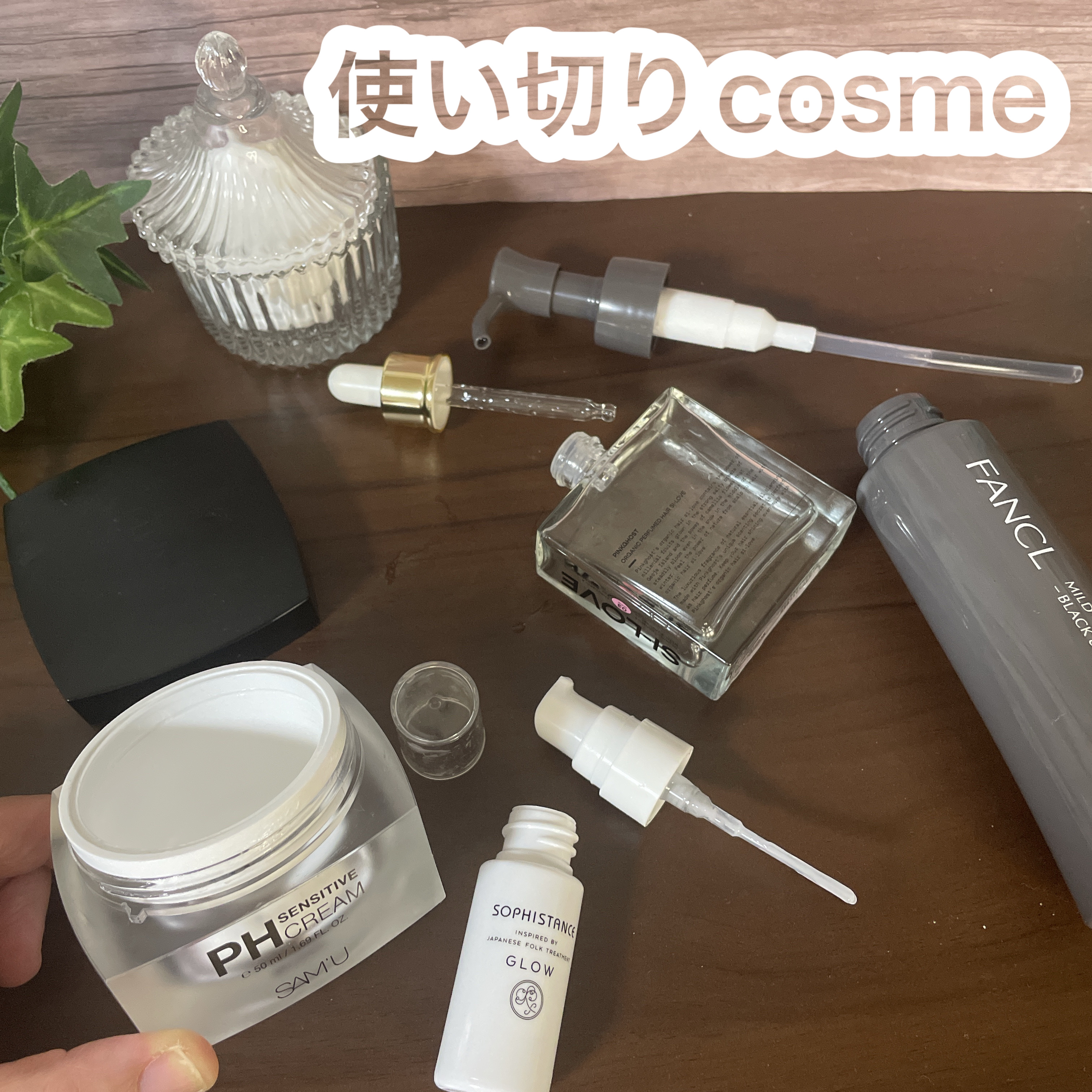 スターターセット/SOPHISTANCE/トライアルキットを使ったクチコミ（1枚目）