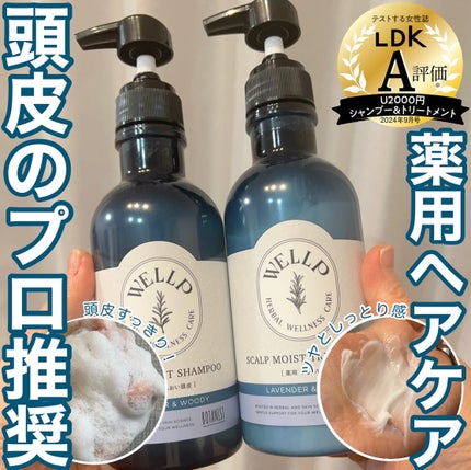 薬用スカルプケアシャンプー/トリートメント モイスト/WELLP/市販シャンプーを使ったクチコミ(1枚目)