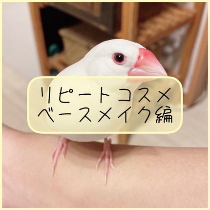 スキンケアパウダー/素肌記念日/プレストパウダーを使ったクチコミ(1枚目)