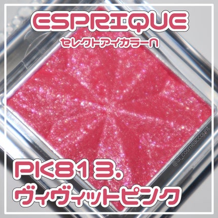 セレクト アイカラー N/ESPRIQUE/単色アイシャドウを使ったクチコミ(1枚目)